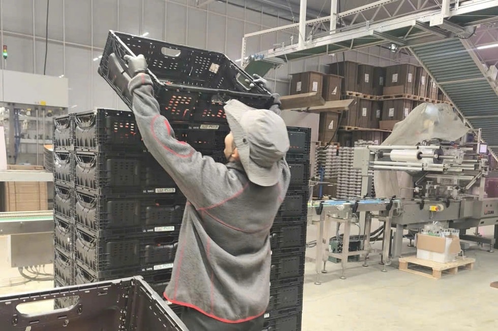 Lao động Việt ở nước ngoài đón Tết xa nhà, nuốt nước mắt để đổi ấm no - 2