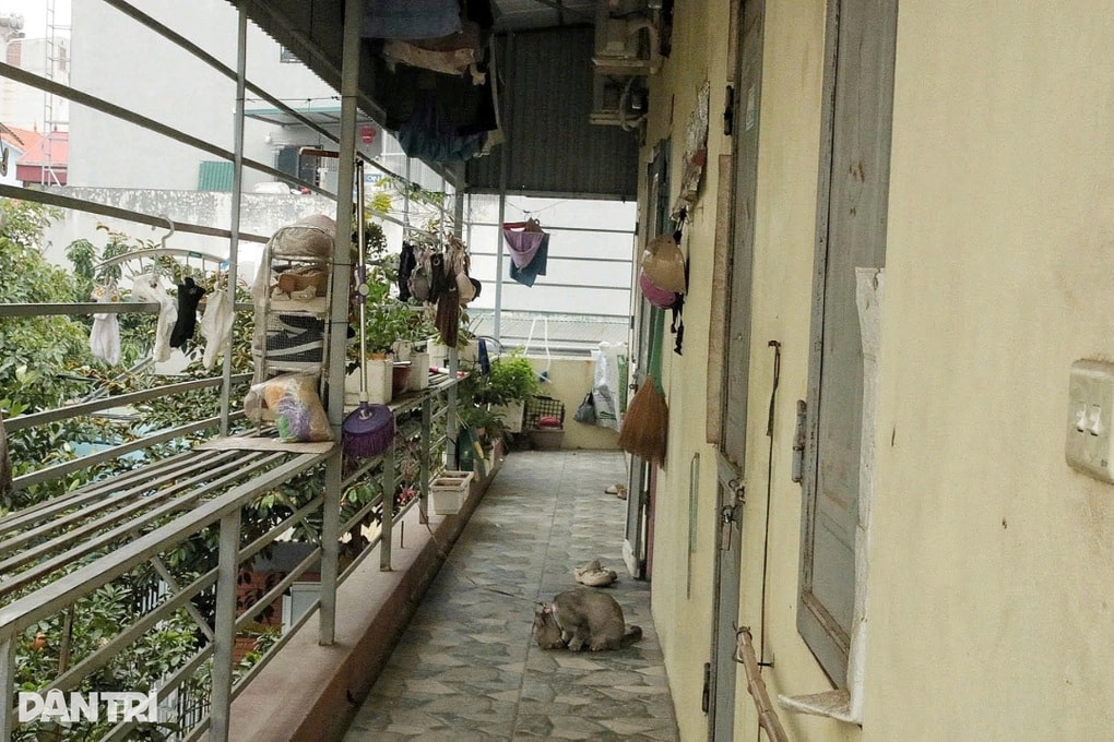 Nguyện ước năm mới của nữ công nhân phải vay thêm 5 triệu đồng tiêu Tết - 2