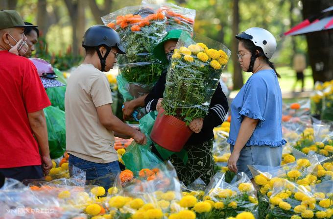 Người dân mua hoa cảnh tại TP HCM, ngày 16/2. Ảnh: Quỳnh Trần