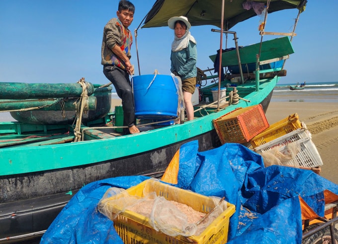 Ngư dân vận chuyển ruốc biển từ thuyền xuống bờ để bán cho thương lái. Ảnh: Đức Hùng