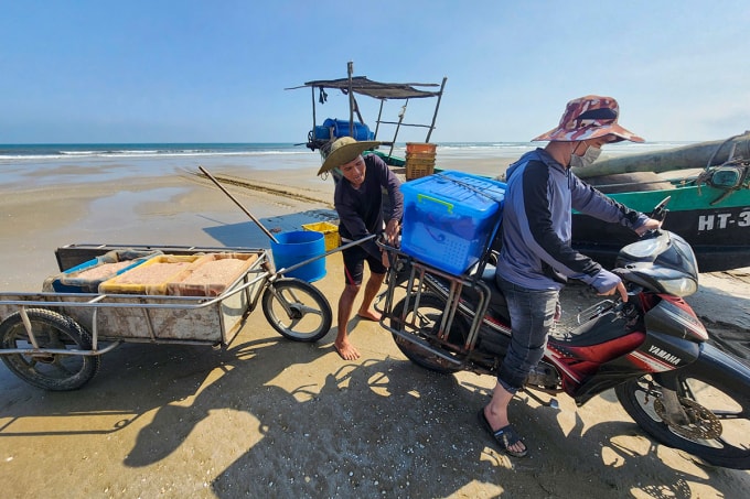 Thương lái chở các khay nhựa đựng ruốc đưa đi nhập cho đối tác. Ảnh: Đức Hùng