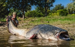 Cần thủ câu được cá "khủng" nặng 63kg, người dân vật lộn hơn 1 giờ mới đưa được lên bờ- Ảnh 4.