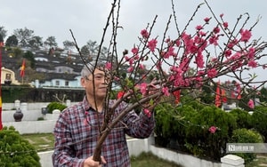 Bóc bánh chưng thấy hiện tượng này, đừng cố ăn kẻo "rước bệnh" vào người - Ảnh 2.