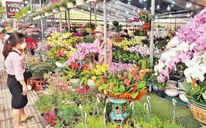 Mâm cúng tất niên Tết Bính Ngọ 2026 đầy đủ, chi tiết nhất- Ảnh 2.