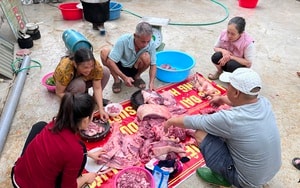 Những lời chúc Tết Bính Ngọ 2026 hay và ấn tượng nhất- Ảnh 2.