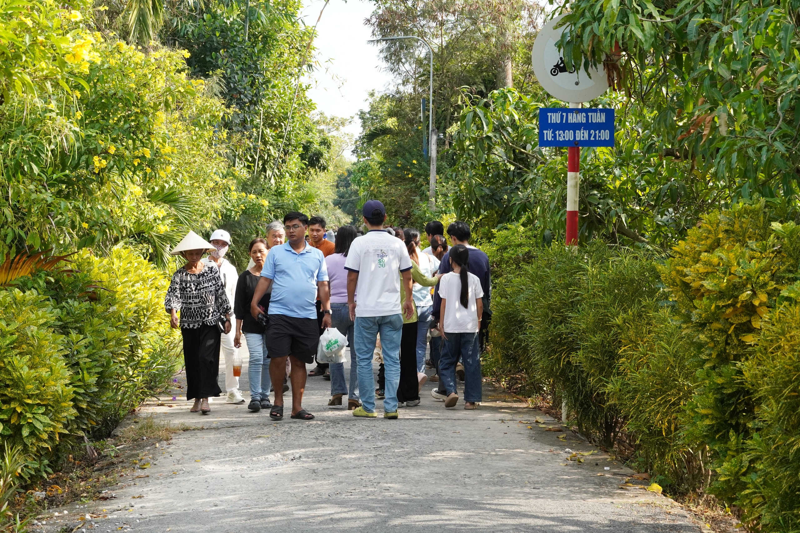 Dân dã các mô hình chợ quê tại Đồng Tháp - Ảnh 2.