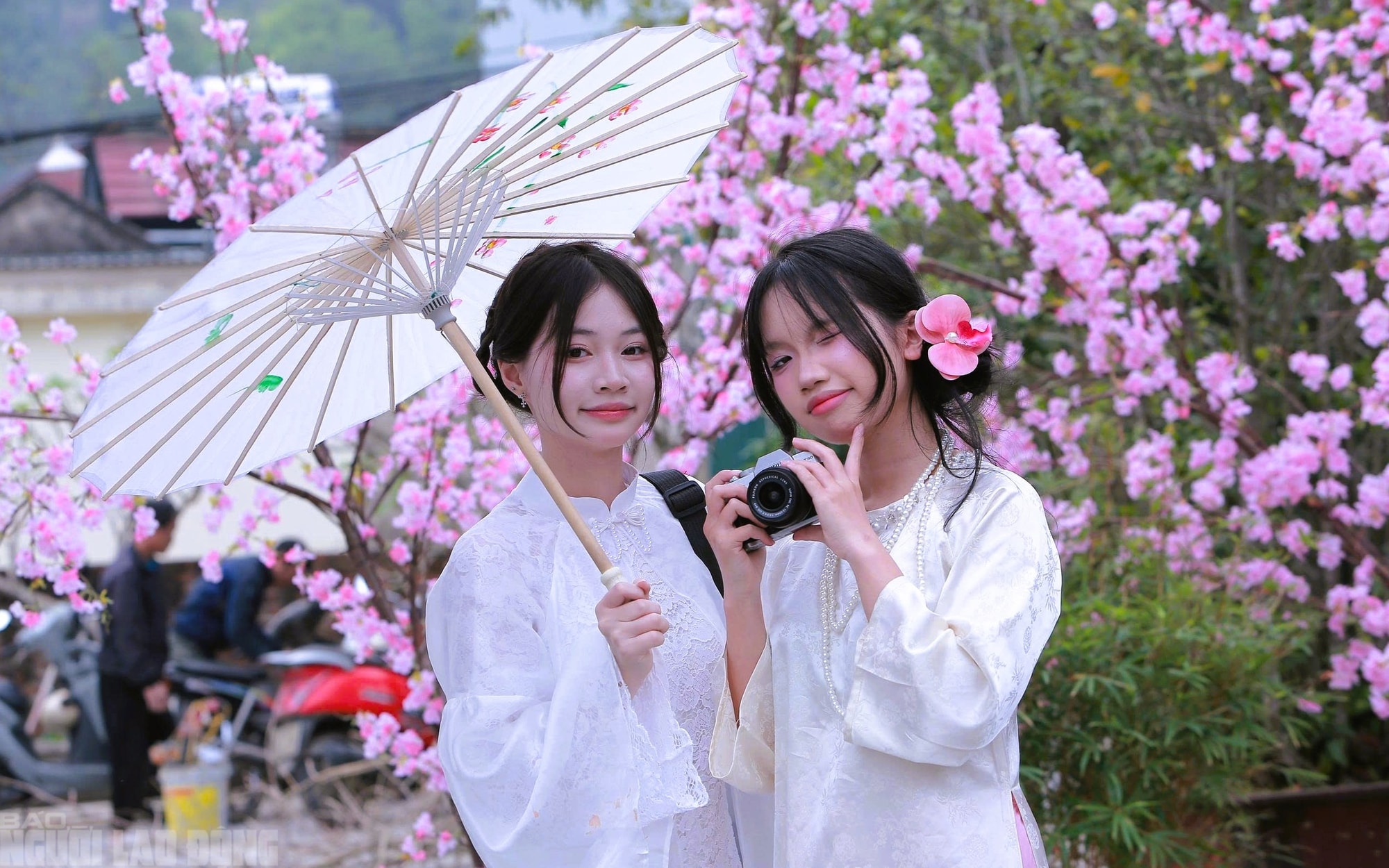 Ngôi chùa cổ ở Thanh Hóa hút khách tới check-in ảnh Tết - Ảnh 12.