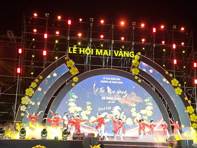 “Thủ phủ” mai vàng miền Trung rực rỡ mùa lễ hội, nhiều tuyệt tác bạc tỉ hội tụ - Ảnh 1.