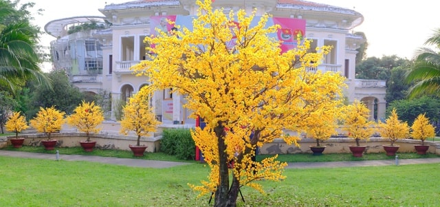 Tái hiện Tết quê xưa qua lễ hội 