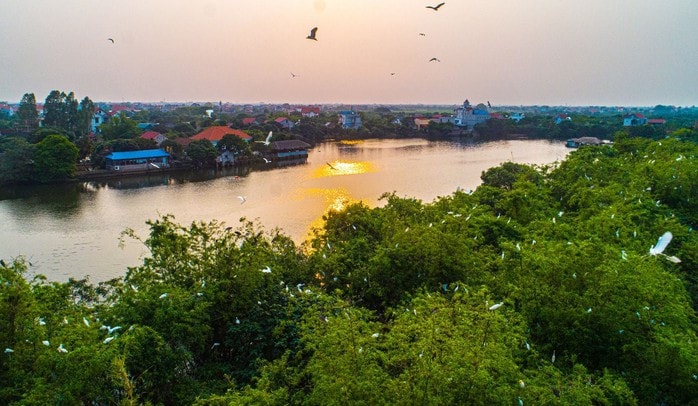 Kỳ bí đảo Cò Hải Dương – "vương quốc" của hơn 20.000 chim trời - Ảnh 1.
