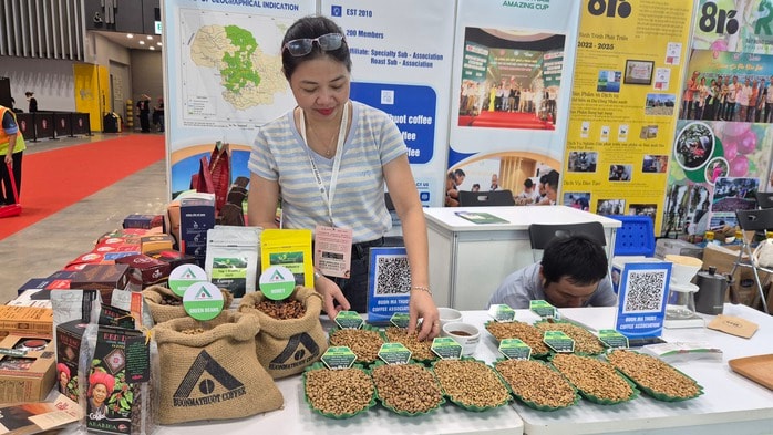 Năm hoàng kim của cà phê Việt Nam với giá trị xuất khẩu kỷ lục 9 tỉ USD năm 2025 - Ảnh 4.