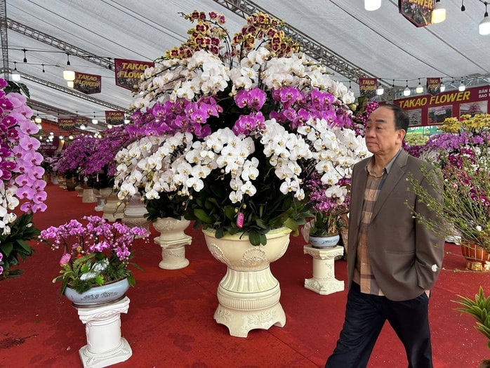 Lan hồ điệp mini hút khách dịp Tết Bính Ngọ 2026 , chậu tiền tỉ vắng bóng - Ảnh 5.