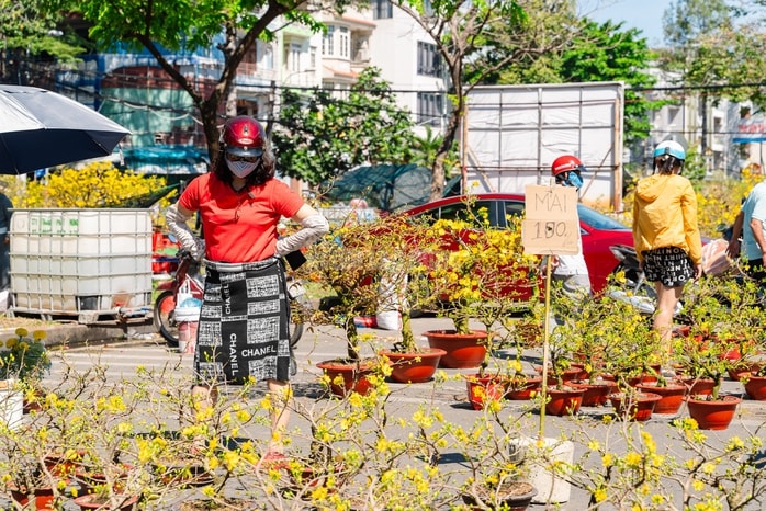 VIDEO: Xả hoa Tết giá 100.000 đồng vắng khách vào trưa 29 Tết tại TPHCM - Ảnh 9.