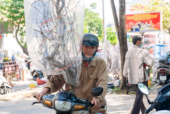 VIDEO: Xả hoa Tết giá 100.000 đồng vắng khách vào trưa 29 Tết tại TPHCM - Ảnh 19.