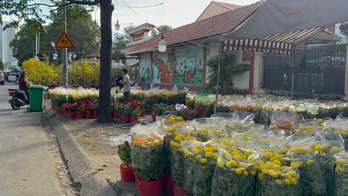 Chợ hoa Tết 2026: Nhiều lô hoa kiểng đã bán hết sạch tại TP HCM - Ảnh 10.