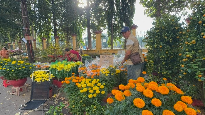 Chợ hoa Tết 2026: Nhiều lô hoa kiểng đã bán hết sạch tại TP HCM - Ảnh 11.