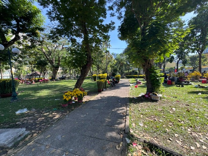 Chợ hoa Tết 2026: Nhiều lô hoa kiểng đã bán hết sạch tại TP HCM - Ảnh 2.