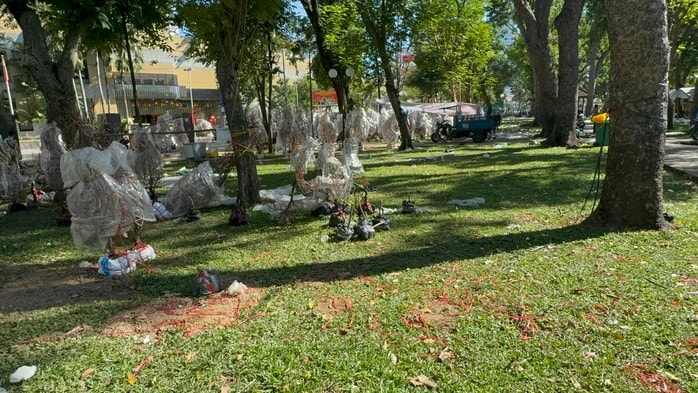 Chợ hoa Tết 2026: Nhiều lô hoa kiểng đã bán hết sạch tại TP HCM - Ảnh 3.