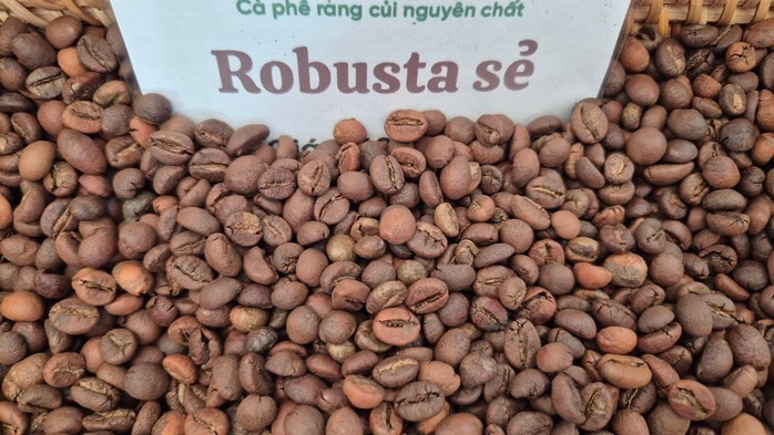 Giá cà phê hôm nay 16-2: Việt Nam là thị trường cung cấp thứ 3 cho Trung Quốc - Ảnh 1.