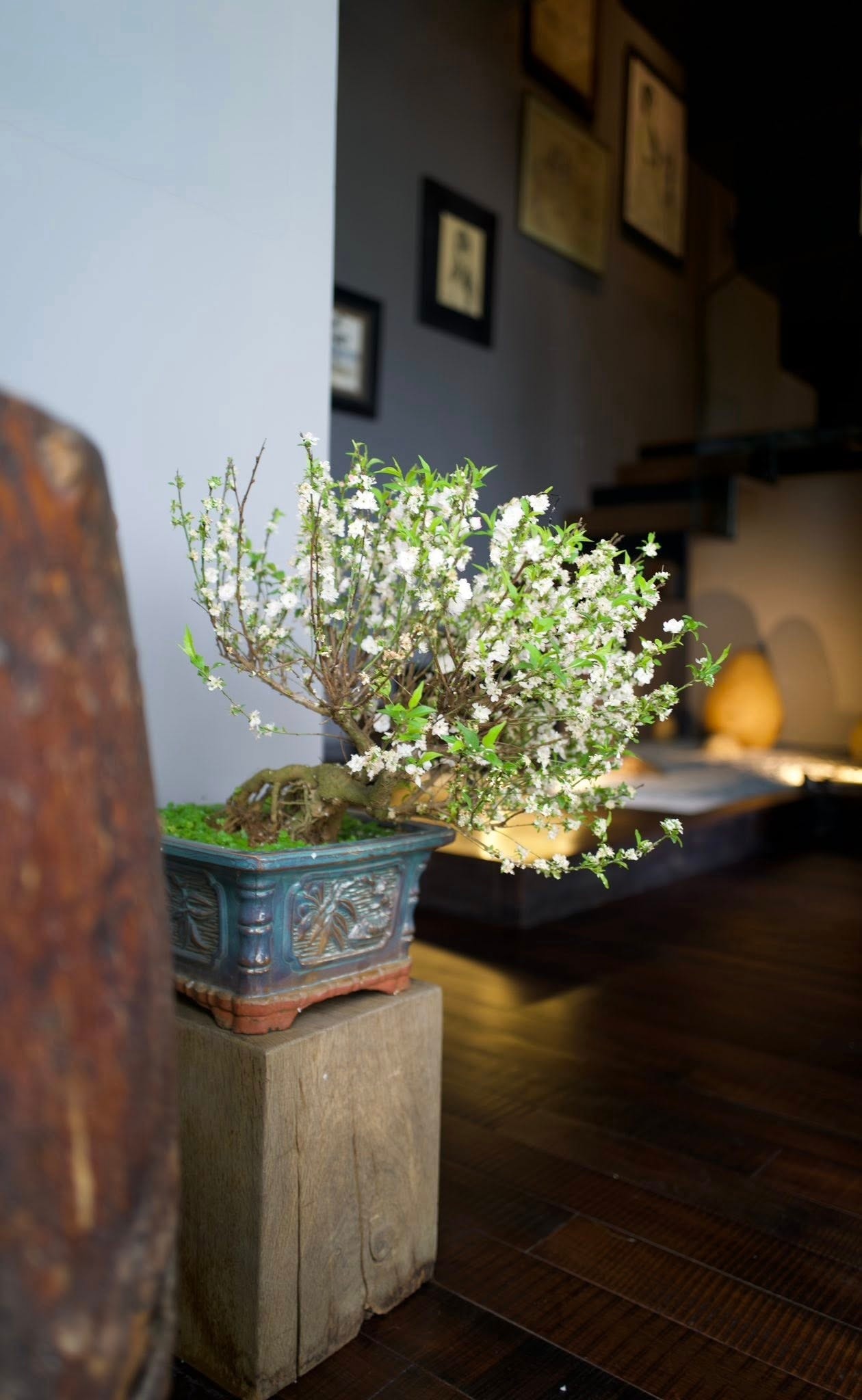 Tết ảnh 12 Tet anh 12