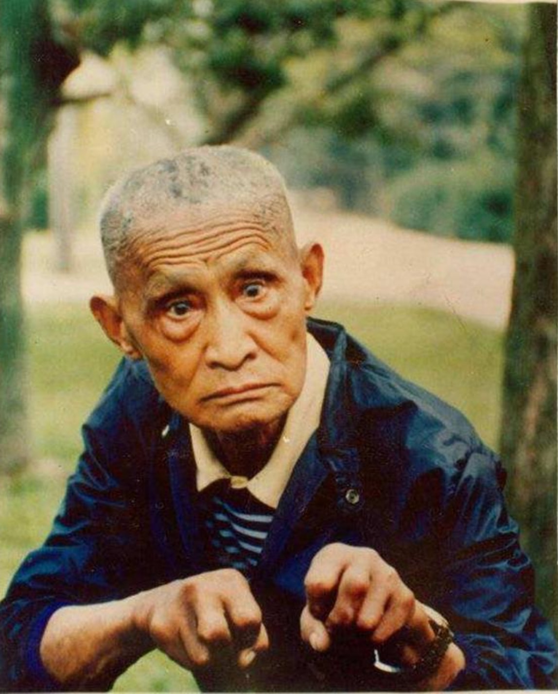 Vạn Lại Thanh còn nổi tiếng về tài văn chương và chữa bệnh bằng y học cổ truyền. (Nguồn: Sohu)