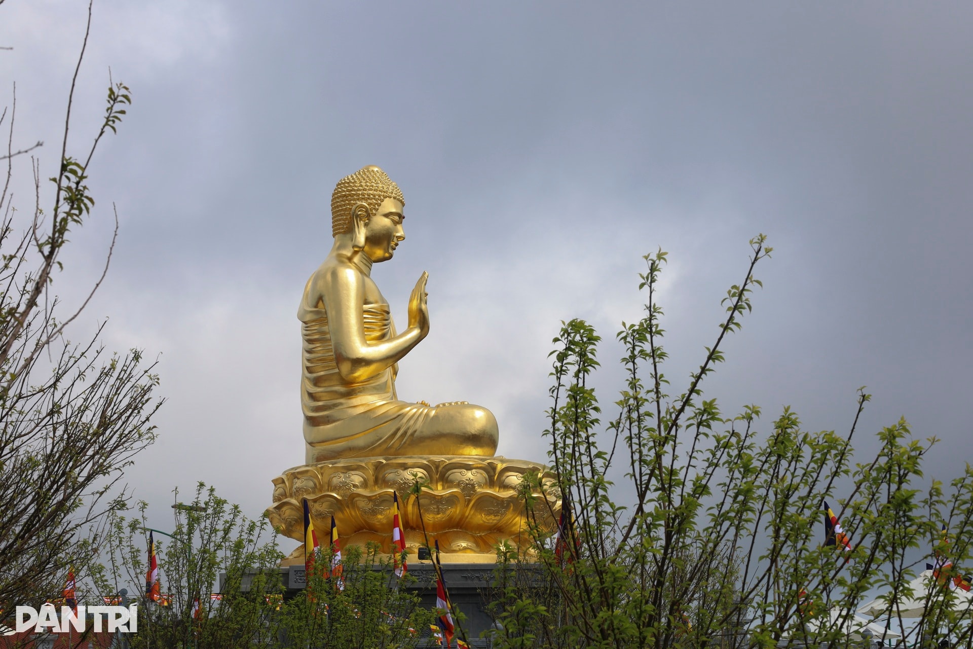 Ngôi chùa trên đỉnh núi cao hơn 1.500m được ví như “Đà Lạt của phố biển” - 5