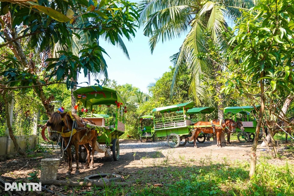Chuyện phu xe gần ba thập kỷ đóng “giày sắt” cho ngựa - 7 Chuyện phu xe gần ba thập kỷ đóng “giày sắt” cho ngựa - 7