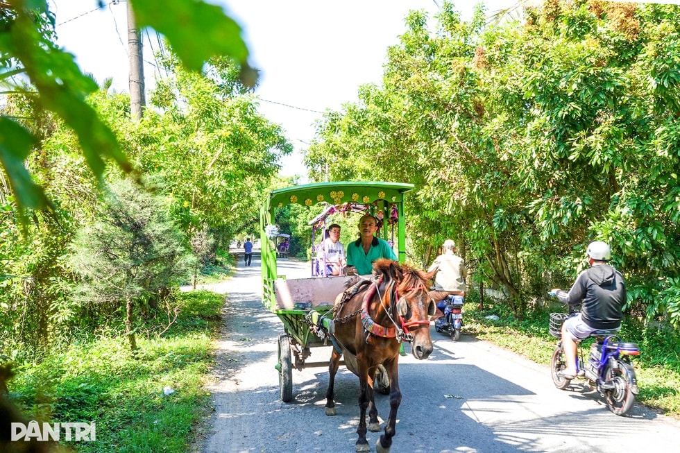 Chuyện phu xe gần ba thập kỷ đóng “giày sắt” cho ngựa - 2 Chuyện phu xe gần ba thập kỷ đóng “giày sắt” cho ngựa - 2