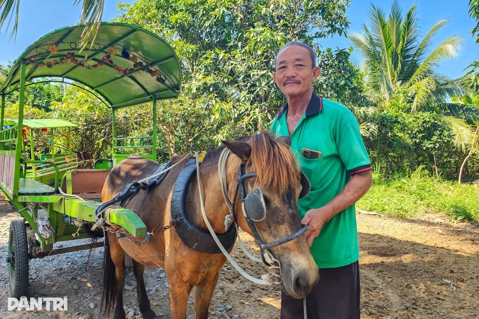 Chuyện phu xe gần ba thập kỷ đóng “giày sắt” cho ngựa - 3 Chuyện phu xe gần ba thập kỷ đóng “giày sắt” cho ngựa - 3