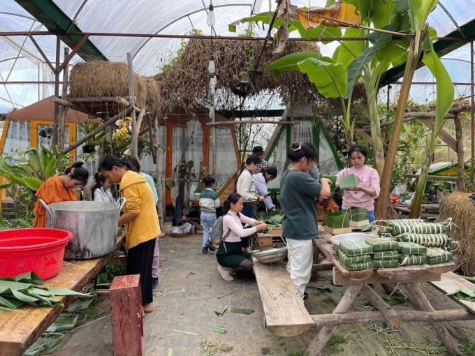 Các tình nguyện viên cùng nhau gói bánh chưng tại một homestay ở Đà Lạt, tháng 2/2026. Ảnh: Tan Nguyen