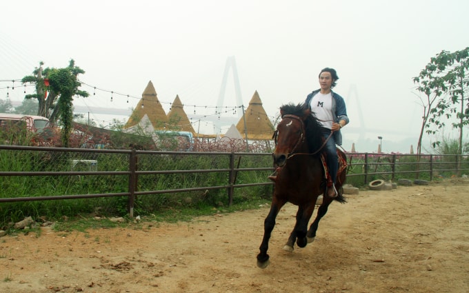 Anh Hà Minh Phương, 49 tuổi cho chú ngựa A Khan của mình đi ăn cỏ hôm 6/2, ở khu vực Nhật Tân, Hà Nội. Ảnh: Phan Dương