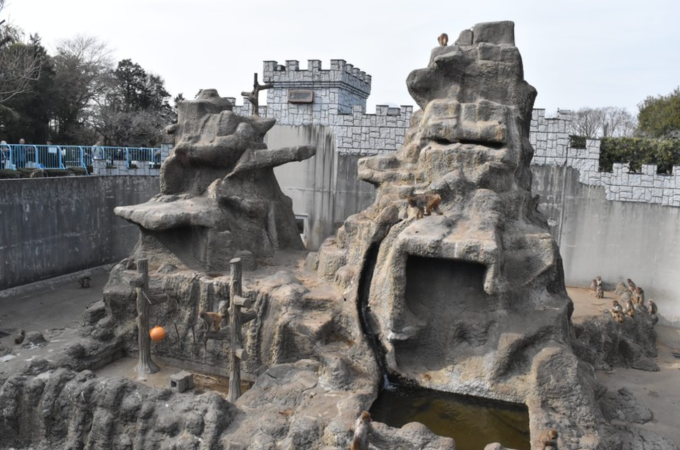 Khu vực núi khỉ tại sở thú thành phố Ichikawa ở tỉnh Chiba. Ảnh: Mainichi