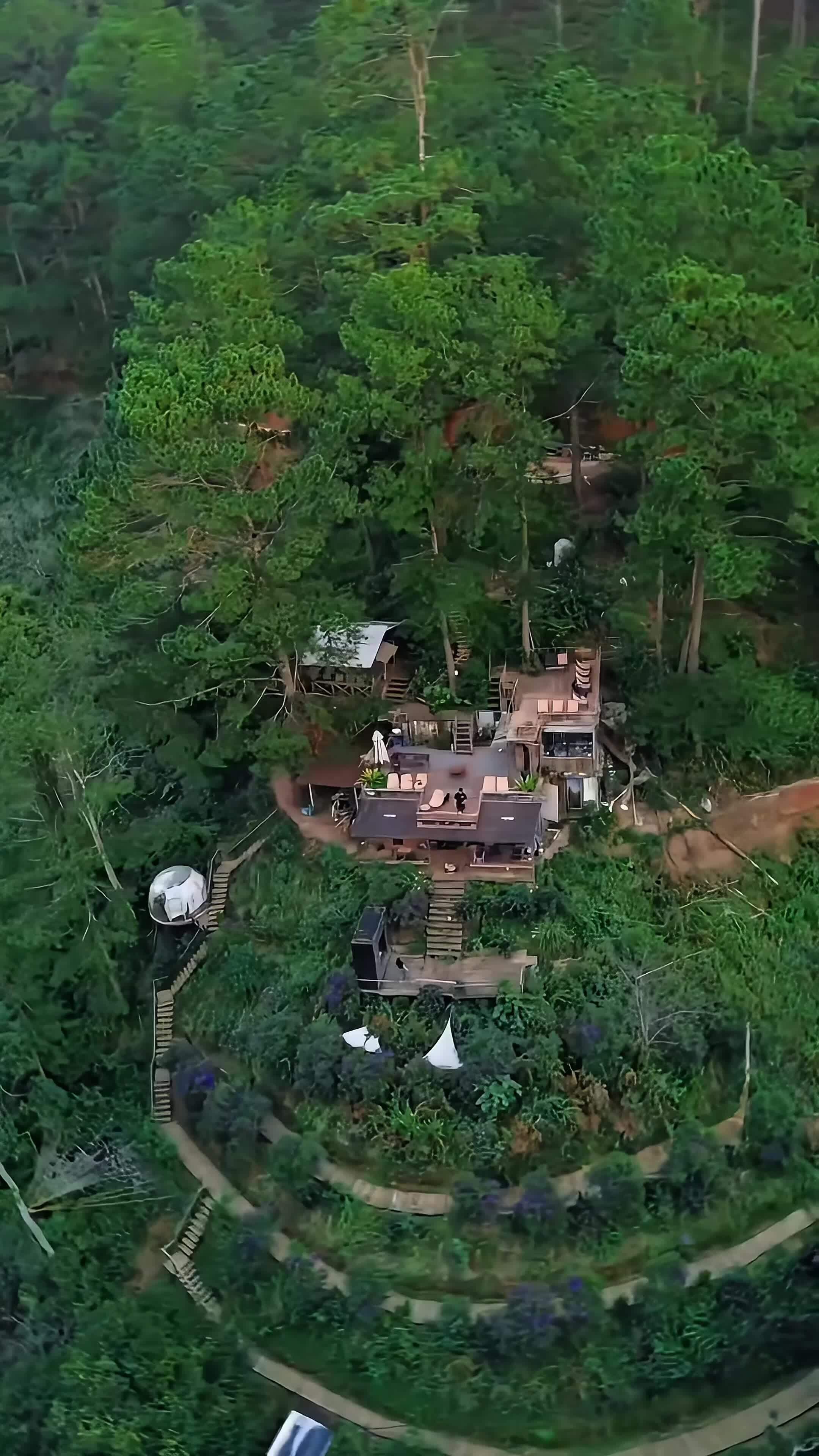 Lên núi làm nông dân xuyên Tết