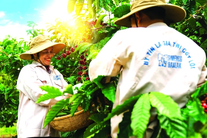 Tâm thế của doanh nghiệp dẫn đầu - Ảnh 2.