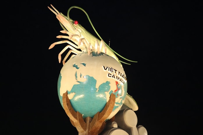 VIDEO: Quảng trường 278 tỉ đồng ở Cà Mau nhộn nhịp ngày Tết - Ảnh 7.