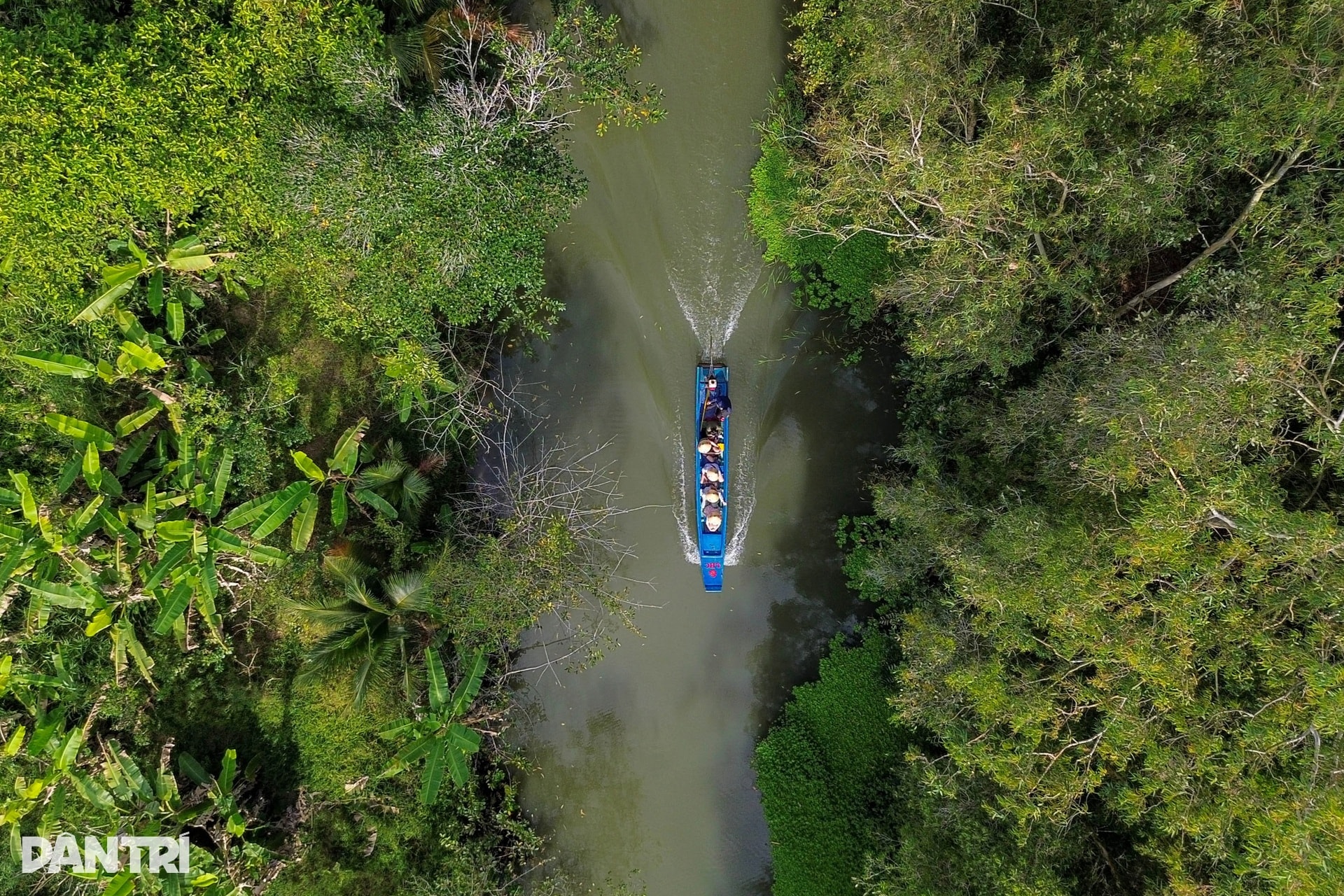 Khách Tây mê mẩn đi vỏ lãi tham quan rừng tràm, ngắm chim cò ở miền Tây - 12 Khách Tây mê mẩn đi vỏ lãi tham quan rừng tràm, ngắm chim cò ở miền Tây - 12