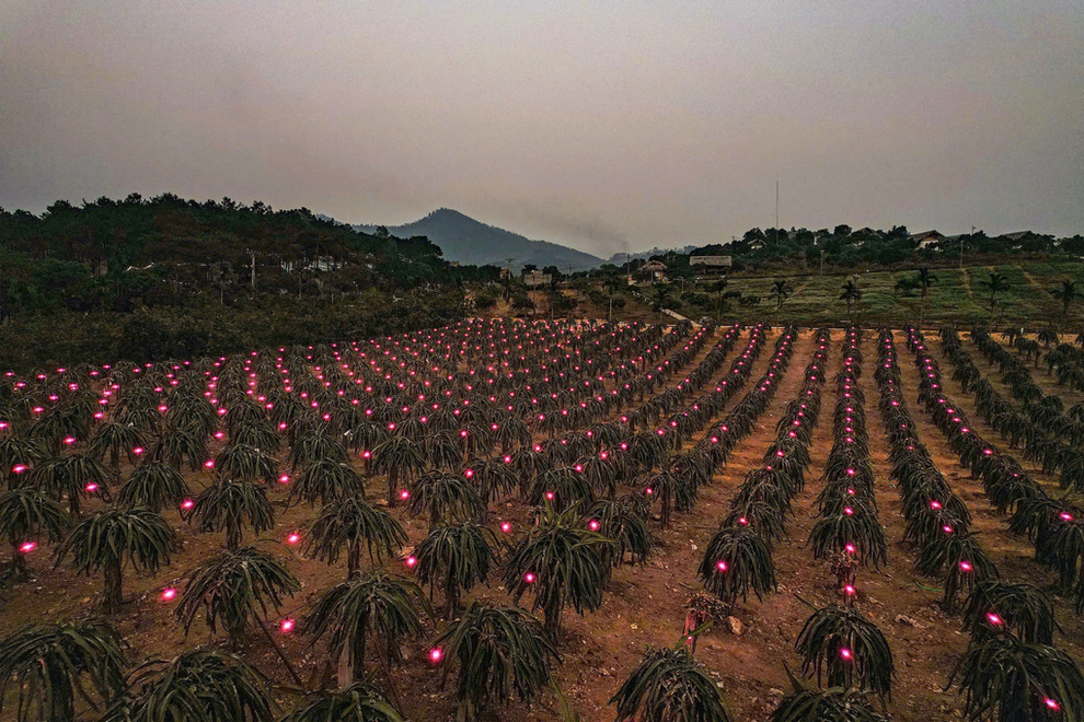Video máy bay cất cánh lúc Giao thừa, pháo hoa rợp trời ở Việt Nam gây sốt - 3 Video máy bay cất cánh lúc Giao thừa, pháo hoa rợp trời ở Việt Nam gây sốt - 3