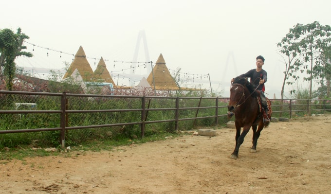 Hoàng Tuấn Tú, 17 tuổi cưỡi chú ngựa A Phạn ở dưới bãi sông, gần cầu Nhật Tân, Hà Nội hôm 6/1. Ảnh: Phan Dương