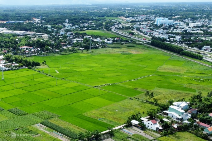 Đồng ruộng Tam Kỳ ngày nay trù phú, chính nhờ công ông Hồ Nghinh làm hồ thủy lợi Phú Ninh. Ảnh: Nguyễn Đông