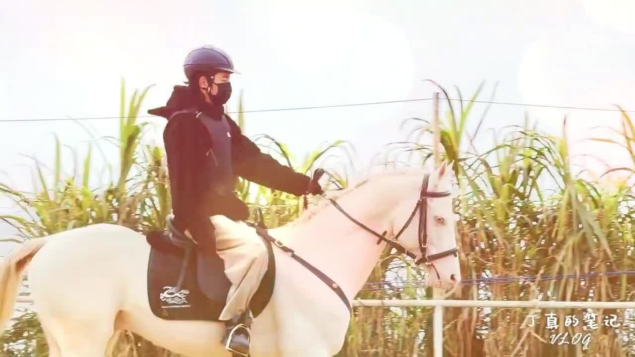 Đinh Chân hóa bạch mã hoàng tử