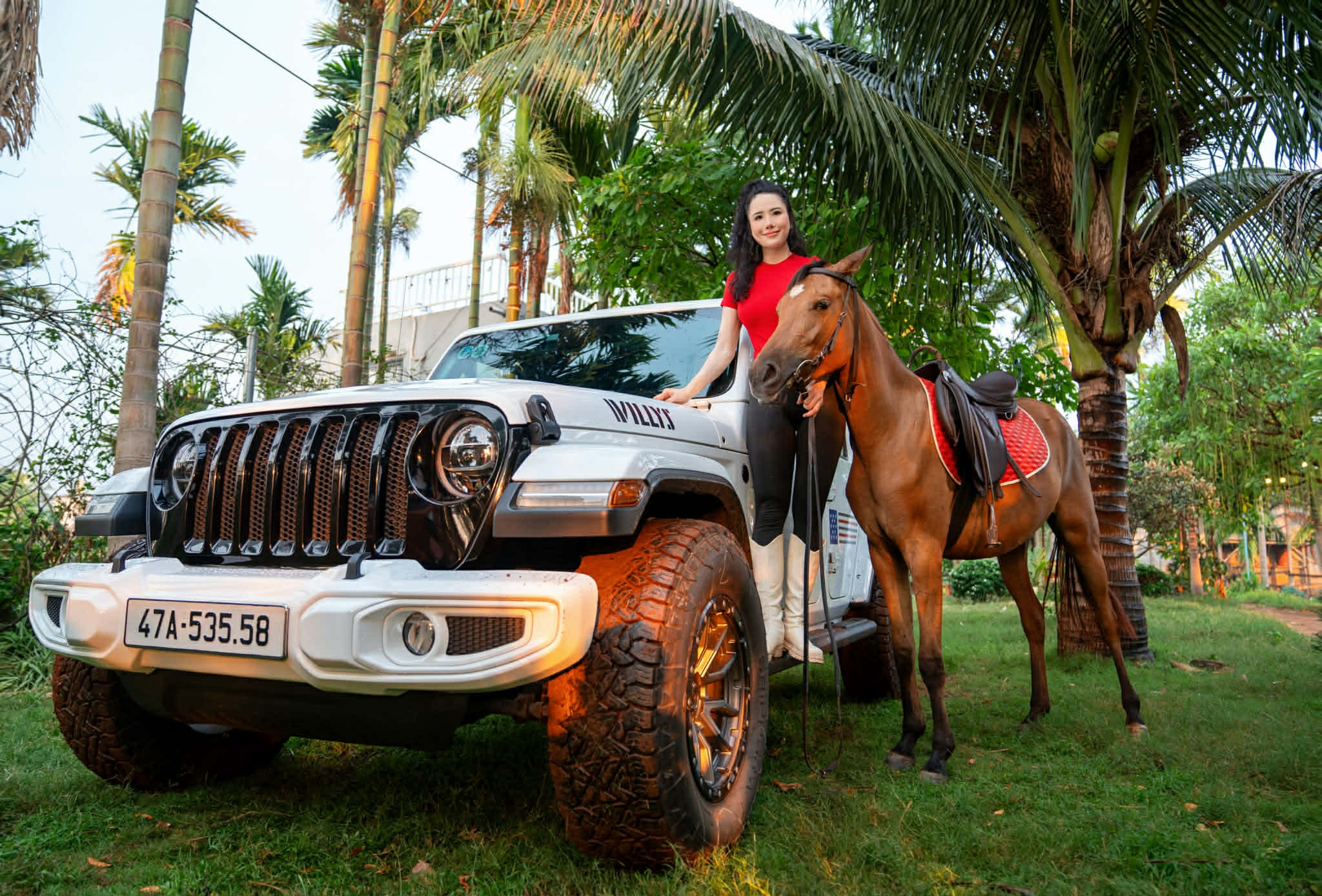 Lý do sức mạnh ôtô được gọi là 'sức ngựa'  