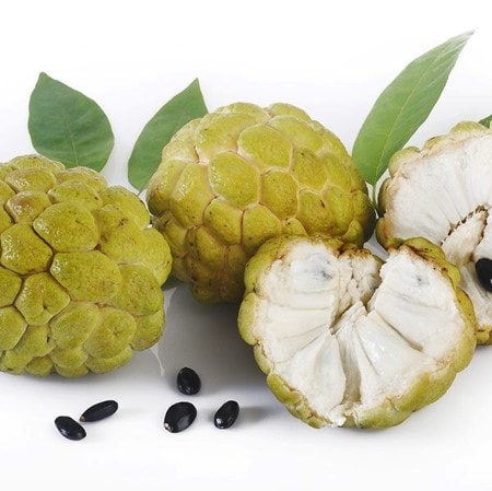 Lợi ích chưa từng nghe tới từ loại quả quen thuộc, có thể phòng ung thư, ngừa đột quỵ - Ảnh 2.