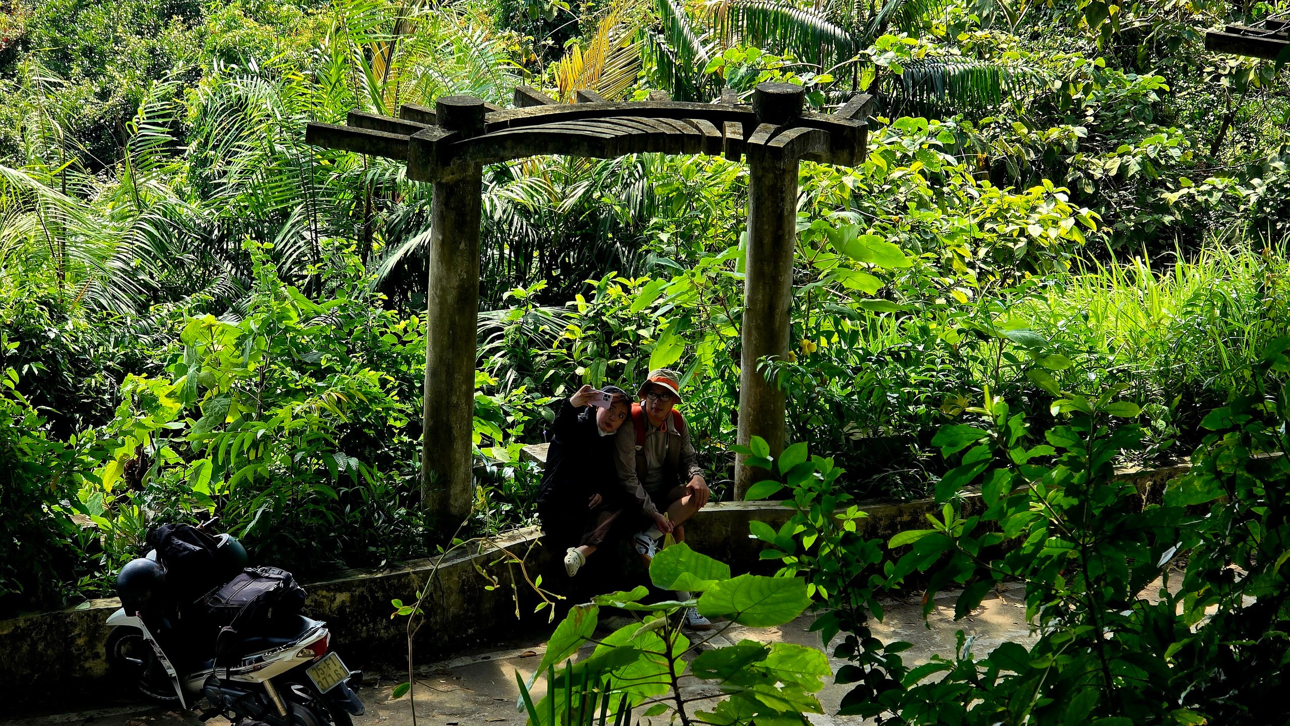 Dưới tán đa nghìn năm ở Sơn Trà, du khách nghe rừng "kể chuyện" - Ảnh 6.