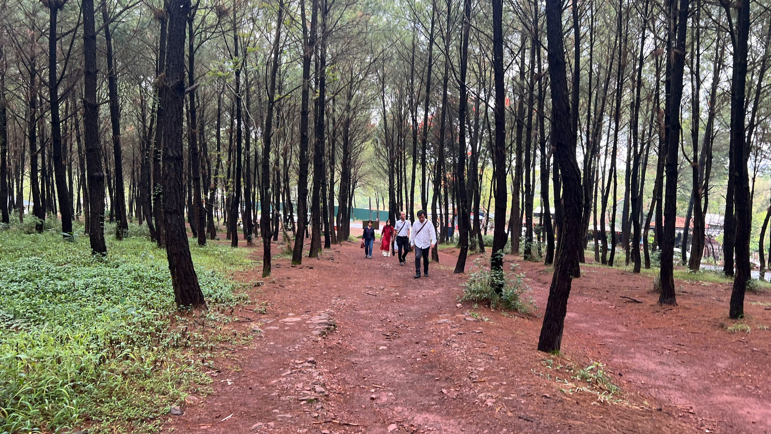 Có một ngọn đồi ở Huế khiến du khách muốn đứng thật lâu, nói ít lại và "cảm" nhiều hơn - Ảnh 4.