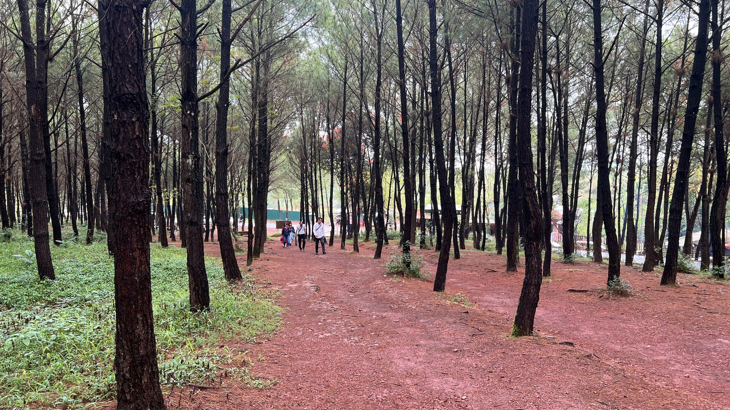 Có một ngọn đồi ở Huế khiến du khách muốn đứng thật lâu, nói ít lại và "cảm" nhiều hơn - Ảnh 5.