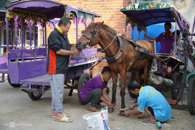 Nhân viên đóng móng sắt cho ngựa định kỳ mỗi tuần một lần. Ảnh: Hoàng Nam