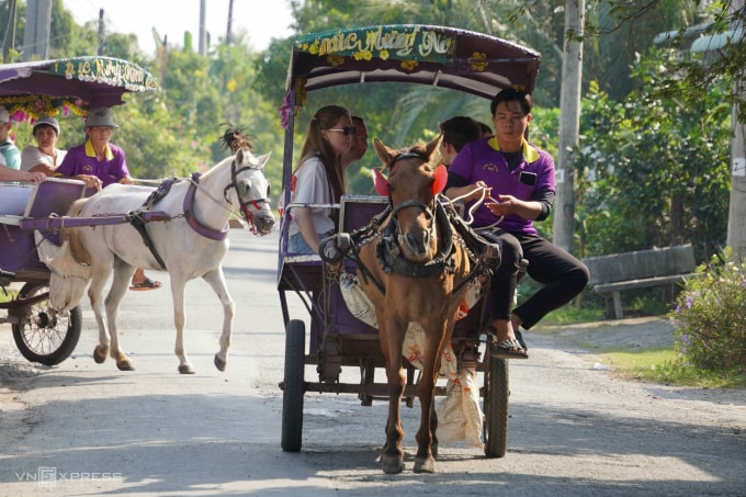 Du khách trải nghiệm ngồi xe ngựa kéo trên cồn Thới Sơn. Ảnh: Hoàng Nam
