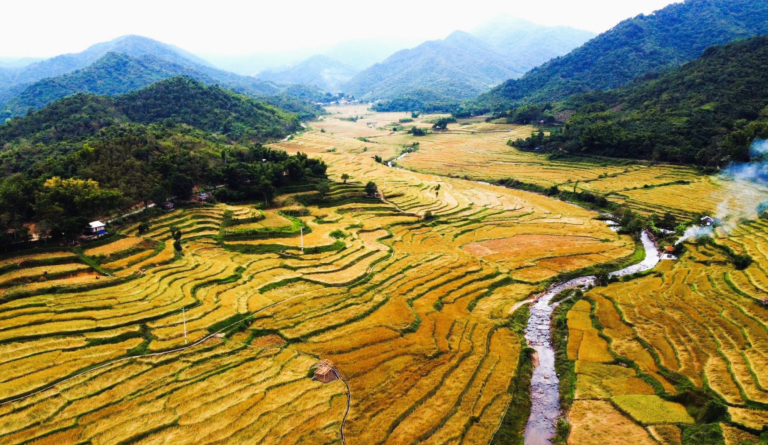 Loại cây đặc sản vào vụ, nhuộm vàng bản làng vùng cao xứ Thanh - Ảnh 4.