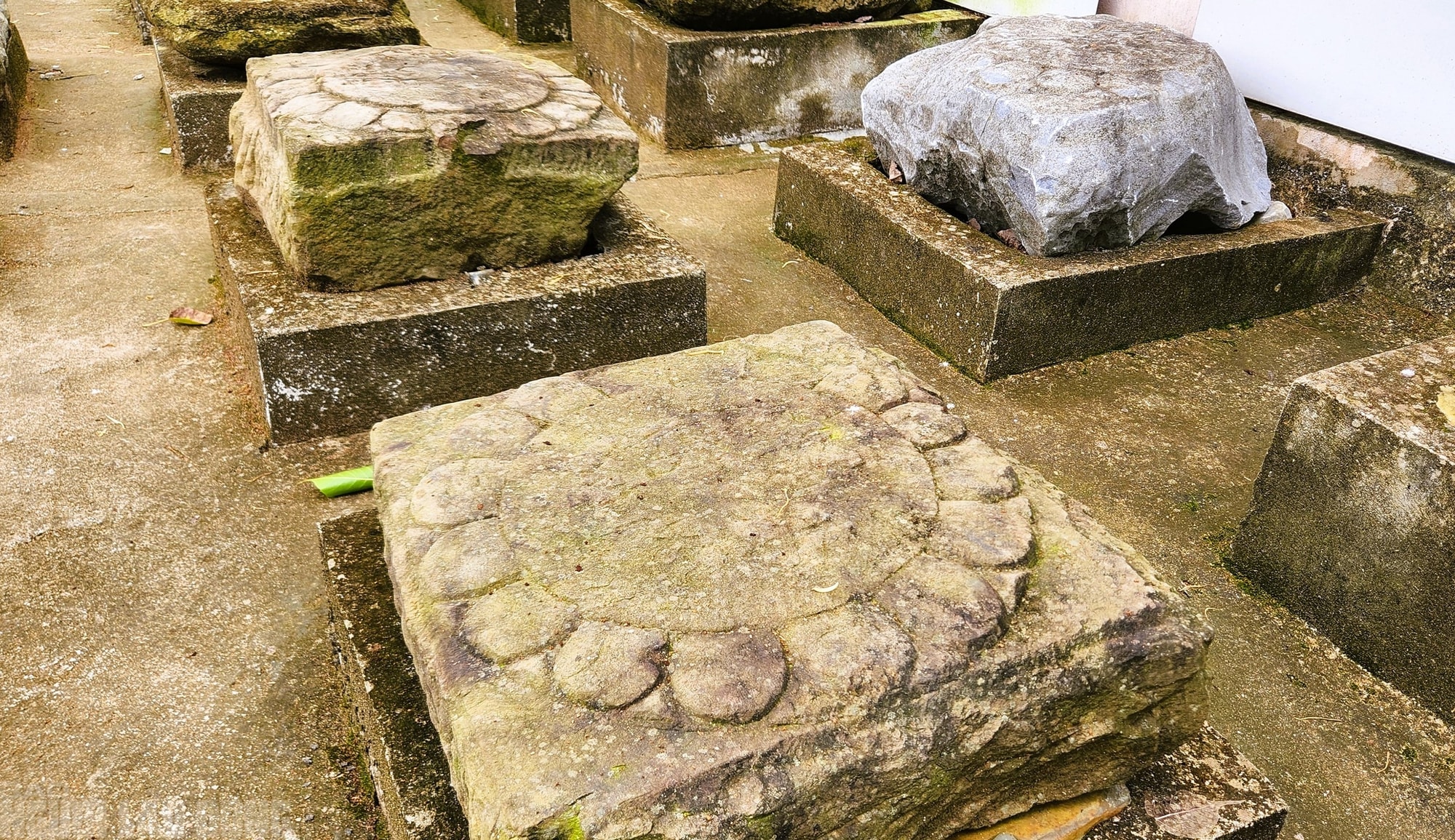 Kỳ bí những chân tảng đá hơn 600 năm ở Thành nhà Hồ - Ảnh 4.