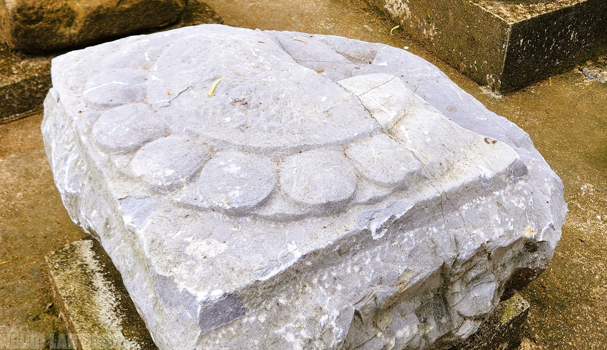 Kỳ bí những chân tảng đá hơn 600 năm ở Thành nhà Hồ - Ảnh 5.